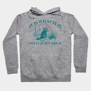 It Is What It Is And It Is Not Great funny raccoon Hoodie